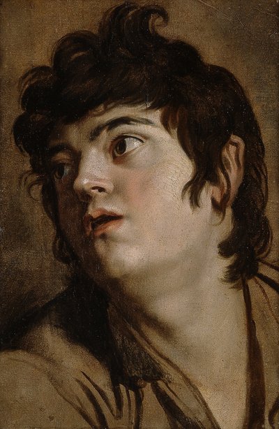 Kopf eines jungen Mannes von Peter Paul Rubens